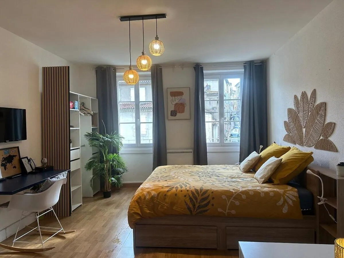 Appartement Cosy Au Coeur De La Ville D'Auch Apartment Auch