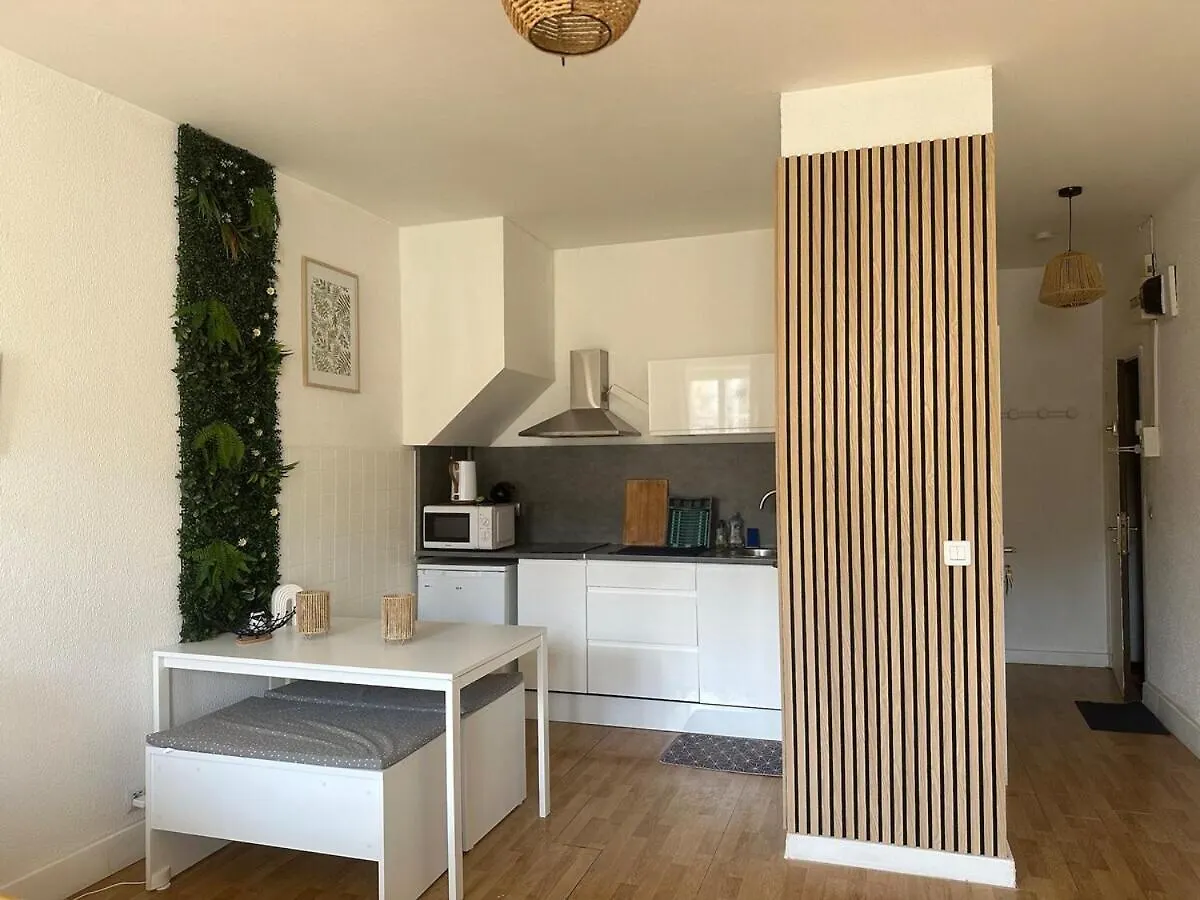 Appartement Cosy Au Coeur De La Ville D'Auch 0*, Auch France